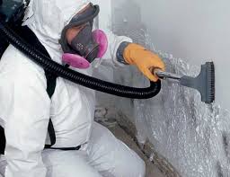 Best Mold Remediation for Vacation Homes  in Southeast Arcadia, FL